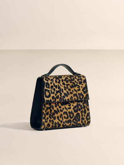 #color_leopard